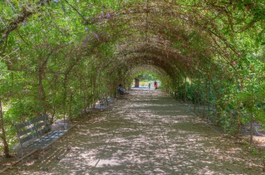 ADELAIDE, AUSTRALYA, 7 HAZİRAN 2020: Adelaide, Avustralya 'daki Botanik bahçesinde gezinen insanlar