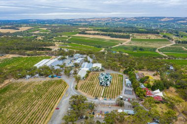 MCLAREN VALE, AUSTRALYA, 5 Ocak 2020: d 'Arenberg Küpü Avustralya' nın Mclaren Vale kentindeki bir üzüm bağında yer almaktadır.