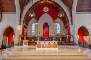 AUCKLAND, NEW ZEALAND, 20 Şubat 2020: Auckland, Yeni Zelanda 'daki St. Patrick ve St. Joseph Katedralinin İçi