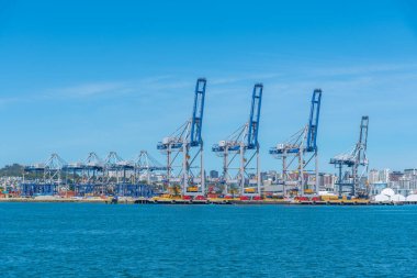 AUCKLAND, NEW ZEALAND, 20 Şubat 2020: Auckland, Yeni Zelanda limanında turnalar