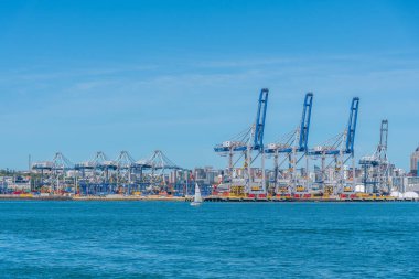 AUCKLAND, NEW ZEALAND, 20 Şubat 2020: Auckland, Yeni Zelanda limanında turnalar