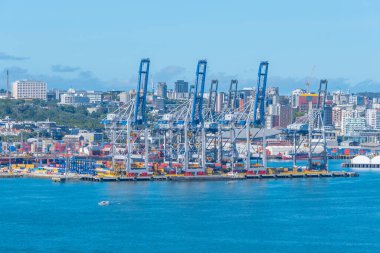 AUCKLAND, NEW ZEALAND, 20 Şubat 2020: Auckland, Yeni Zelanda limanında turnalar