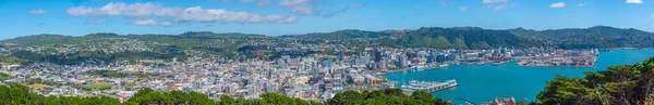 Wellington Neuseeland Februar 2020 Luftaufnahme Von Wellington Neuseeland — Stockfoto