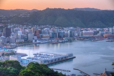 WELLINGTON, NEW ZEALAND, 9 Şubat 2020: Wellington, Yeni Zelanda 'nın günbatımı hava manzarası
