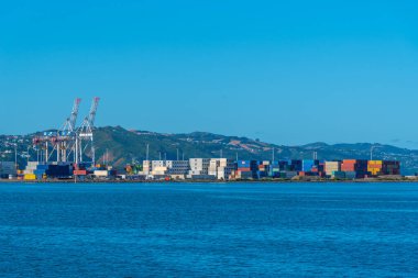 WELLINGTON, NEW ZEALAND, 9 Şubat 2020: Wellington, Yeni Zelanda 'daki konteyner limanı