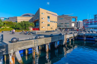 WELLINGTON, NEW ZEALAND, 9 Şubat 2020: Yeni Zelanda Te Papa Tongarewa Müzesi Wellington, Yeni Zelanda