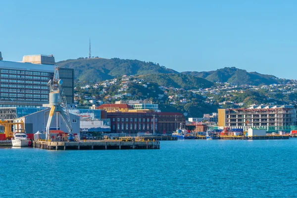 Wellington Neuseeland Februar 2020 Hafenpromenade Wellington Neuseeland — Stockfoto