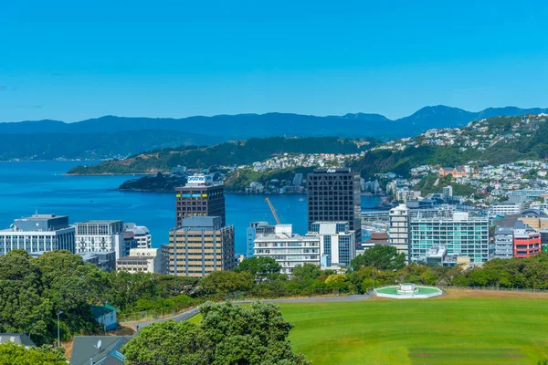 Wellington Nouvelle Zélande Février 2020 Skyline Wellington Wellington Botanic Gardens — Photo