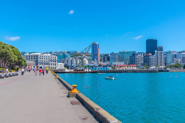 Wellington Nouvelle Zélande Février 2020 Les Gens Promènent Sur Front — Photo