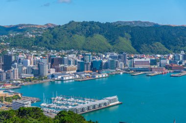 WELLINGTON, NEW ZEALAND, 9 Şubat 2020: Wellington, Yeni Zelanda 'nın hava manzarası