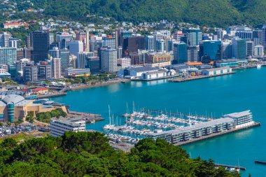 WELLINGTON, NEW ZEALAND, 9 Şubat 2020: Wellington, Yeni Zelanda 'nın hava manzarası