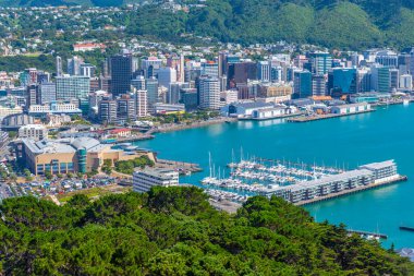 WELLINGTON, NEW ZEALAND, 9 Şubat 2020: Wellington, Yeni Zelanda 'nın hava manzarası