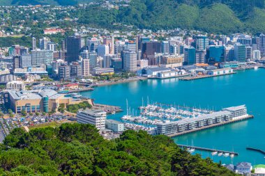 WELLINGTON, NEW ZEALAND, 9 Şubat 2020: Wellington, Yeni Zelanda 'nın hava manzarası