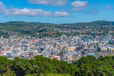 WELLINGTON, NEW ZEALAND, 9 Şubat 2020: Wellington, Yeni Zelanda şehir merkezinin hava manzarası