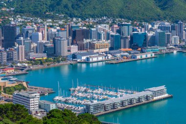 WELLINGTON, NEW ZEALAND, 9 Şubat 2020: Wellington, Yeni Zelanda 'nın hava manzarası