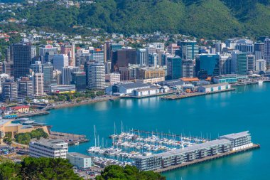WELLINGTON, NEW ZEALAND, 9 Şubat 2020: Wellington, Yeni Zelanda 'nın hava manzarası