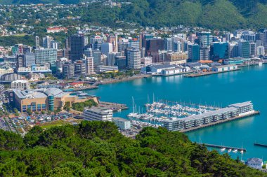 WELLINGTON, NEW ZEALAND, 9 Şubat 2020: Wellington, Yeni Zelanda 'nın hava manzarası