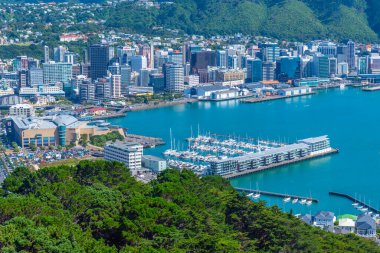WELLINGTON, NEW ZEALAND, 9 Şubat 2020: Wellington, Yeni Zelanda 'nın hava manzarası