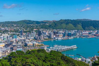 WELLINGTON, NEW ZEALAND, 9 Şubat 2020: Wellington, Yeni Zelanda 'nın hava manzarası