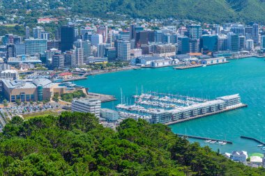 WELLINGTON, NEW ZEALAND, 8 Şubat 2020: Wellington, Yeni Zelanda 'nın hava manzarası