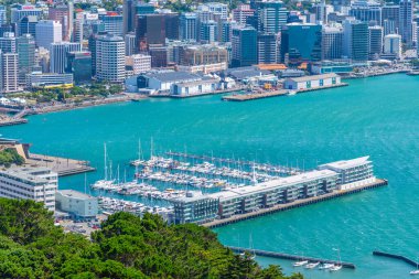 WELLINGTON, NEW ZEALAND, 8 Şubat 2020: Wellington, Yeni Zelanda 'nın hava manzarası