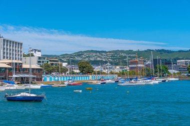 WELLINGTON, NEW ZEALAND, 8 Şubat 2020: Wellington, Yeni Zelanda