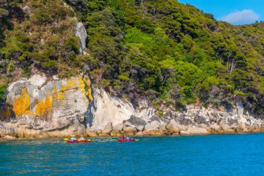 ABEL TASMAN, NEW ZEALAND, 6 Şubat 2020: Yeni Zelanda 'daki Abel Tasman Ulusal Parkı' nda sarı kanolar