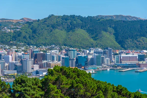 Wellington Nouvelle Zélande Février 2020 Vue Aérienne Wellington Nouvelle Zélande — Photo