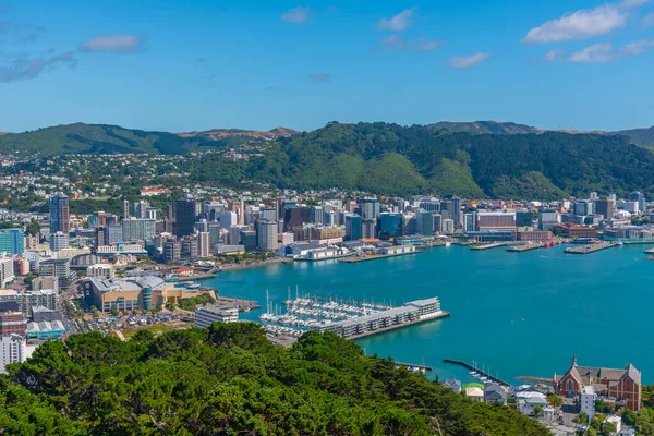 WELLINGTON, NEW ZEALAND, 9 Şubat 2020: Wellington, Yeni Zelanda 'nın hava manzarası