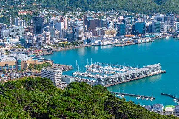 WELLINGTON, NEW ZEALAND, 9 Şubat 2020: Wellington, Yeni Zelanda 'nın hava manzarası