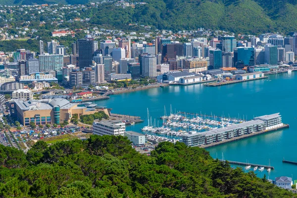 Wellington Nouvelle Zélande Février 2020 Vue Aérienne Wellington Nouvelle Zélande — Photo