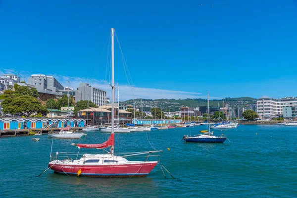 Wellington New Zealand February 2020 Marina Wellington New Zealand — Stock Photo, Image