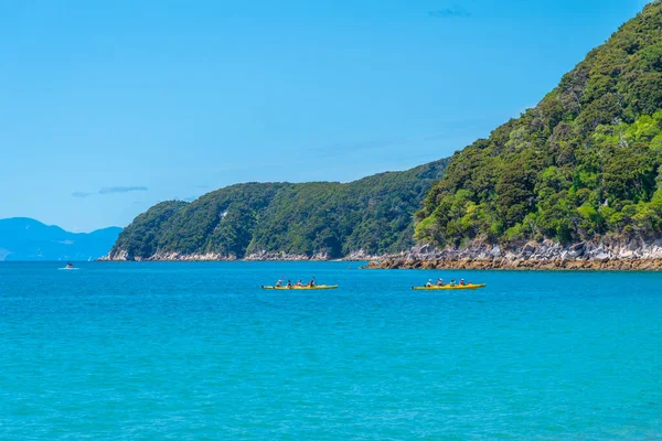 Abel Tasman New Zealand Şubat 2020 Yeni Zelanda Daki Abel — Stok fotoğraf