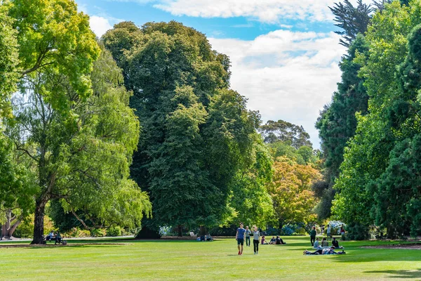Christchurch New Zealand Styczeń 2020 Ludzie Spacerują Ogrodach Botanicznych Christchurch — Zdjęcie stockowe