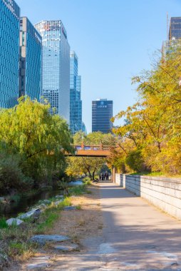 SEOUL, Kore, 9 Kasım 2019: Cheonggyecheon kanalının arkasındaki Seul silueti, Kore Cumhuriyeti