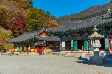 NAEJANGSAN, Kore, 5 Kasım 2019: Naejangsan Ulusal Parkı 'ndaki Naejangsa Tapınağı