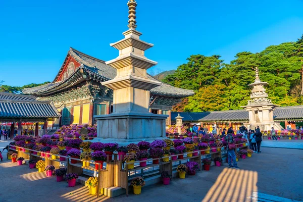 Gyeongju Korea Outubro 2019 Pessoas Estão Passeando Por Terrenos Templo — Fotografia de Stock