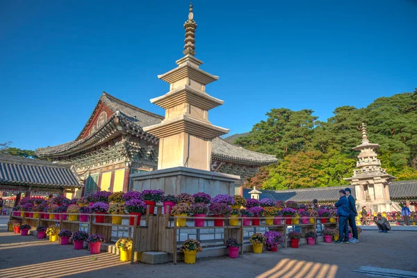 Gyeongju Korea Outubro 2019 Pessoas Estão Passeando Por Terrenos Templo — Fotografia de Stock