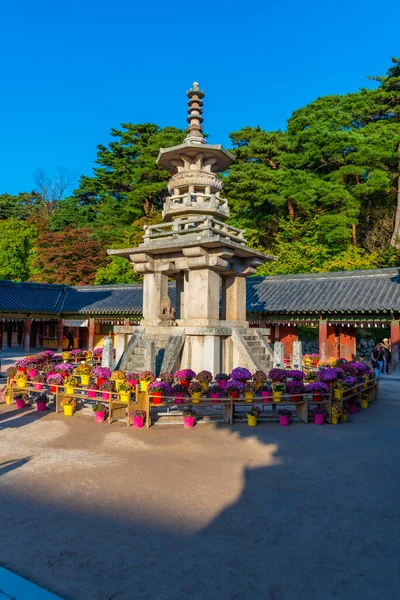 Gyeongju Corée Octobre 2019 Les Gens Promènent Dans Les Terrains — Photo