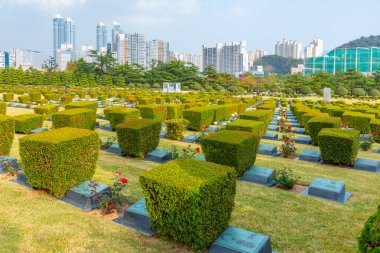 BUSAN, Kore, 29 Ekim 2019: Busan, Kore Cumhuriyeti 'ndeki Birleşmiş Milletler Anıt Mezarlığı