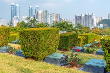 BUSAN, Kore, 29 Ekim 2019: Busan, Kore Cumhuriyeti 'ndeki Birleşmiş Milletler Anıt Mezarlığı