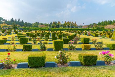 BUSAN, Kore, 29 Ekim 2019: Busan, Kore Cumhuriyeti 'ndeki Birleşmiş Milletler Anıt Mezarlığı