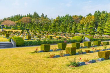 BUSAN, Kore, 29 Ekim 2019: Busan, Kore Cumhuriyeti 'ndeki Birleşmiş Milletler Anıt Mezarlığı