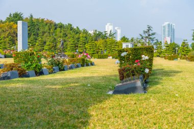 BUSAN, Kore, 29 Ekim 2019: Busan, Kore Cumhuriyeti 'ndeki Birleşmiş Milletler Anıt Mezarlığı