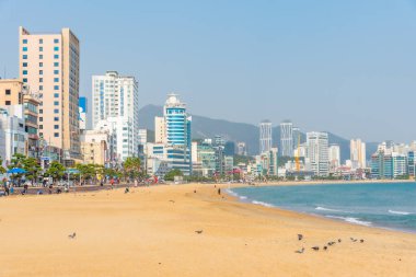 BUSAN, Kore, 29 Ekim 2019: Busan, Kore Cumhuriyeti 'ndeki Gwangalli plajı