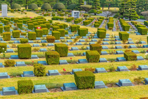 Busan Korea Října 2019 Památný Hřbitov Organizace Spojených Národů Busanu — Stock fotografie