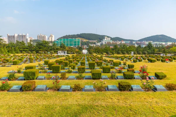 Busano Coreia Outubro 2019 Cemitério Memorial Das Nações Unidas Busan — Fotografia de Stock