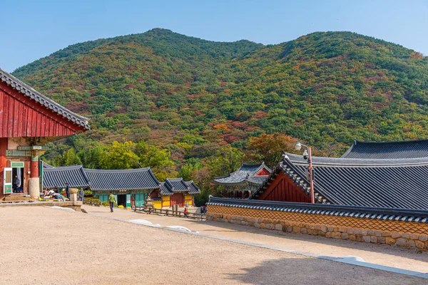 2019年10月29日 韓国の釜山にあるBeomeosa寺院を人々は賞賛しています — ストック写真