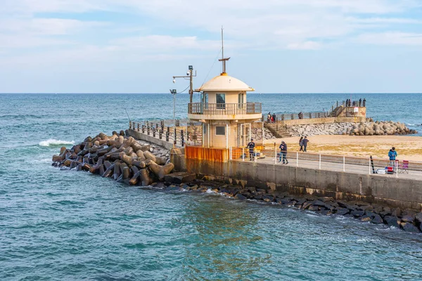 Gangneung Korea Październik 2019 Rybacy Port Gangneung Republika Korei — Zdjęcie stockowe