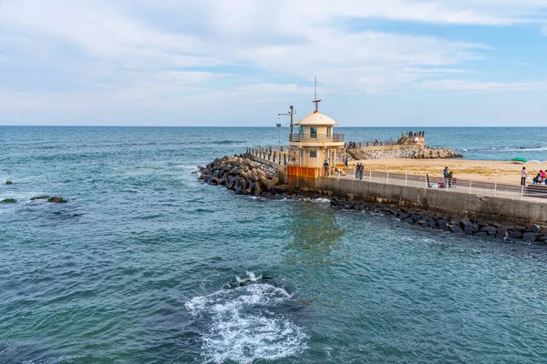 Gangneung Korea Październik 2019 Rybacy Port Gangneung Republika Korei — Zdjęcie stockowe